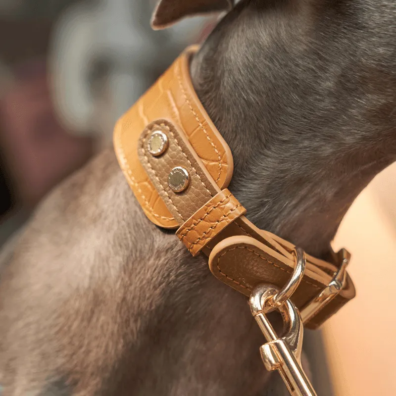 Amber Leather Collar