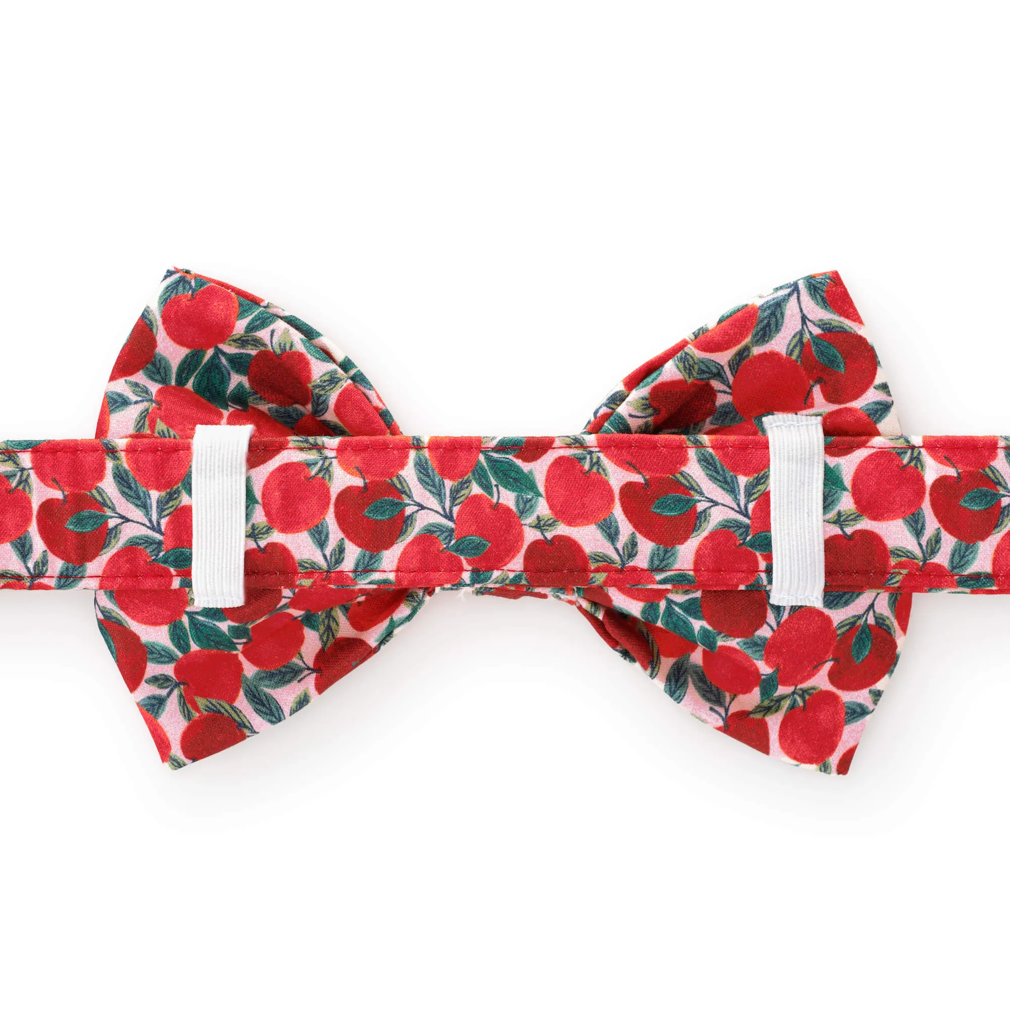 Apple of My Eye Bow Tie Collar