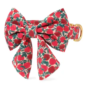 Apple of My Eye Lady Bow Collar