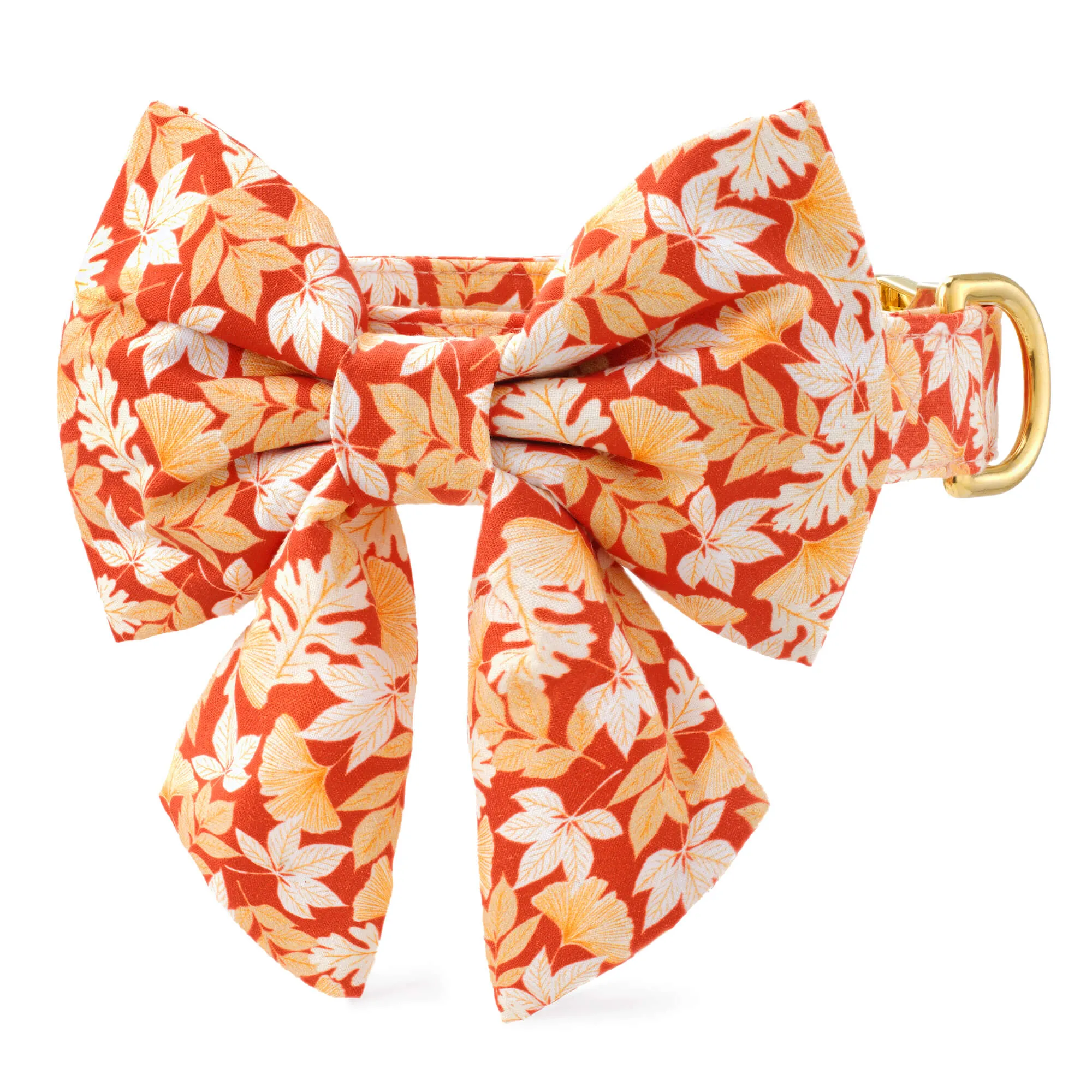 Autumn Leaves Rust Lady Bow Collar