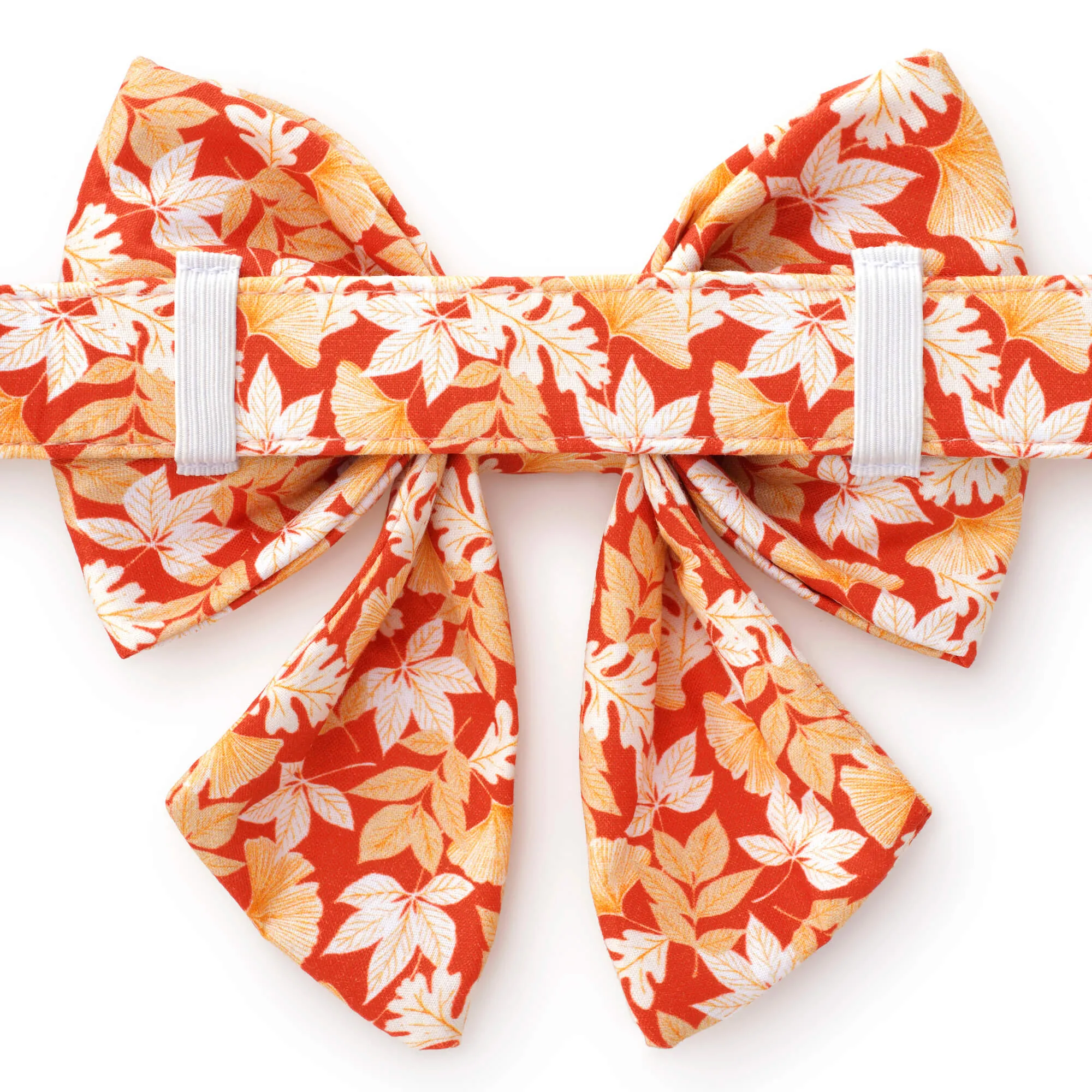 Autumn Leaves Rust Lady Bow Collar