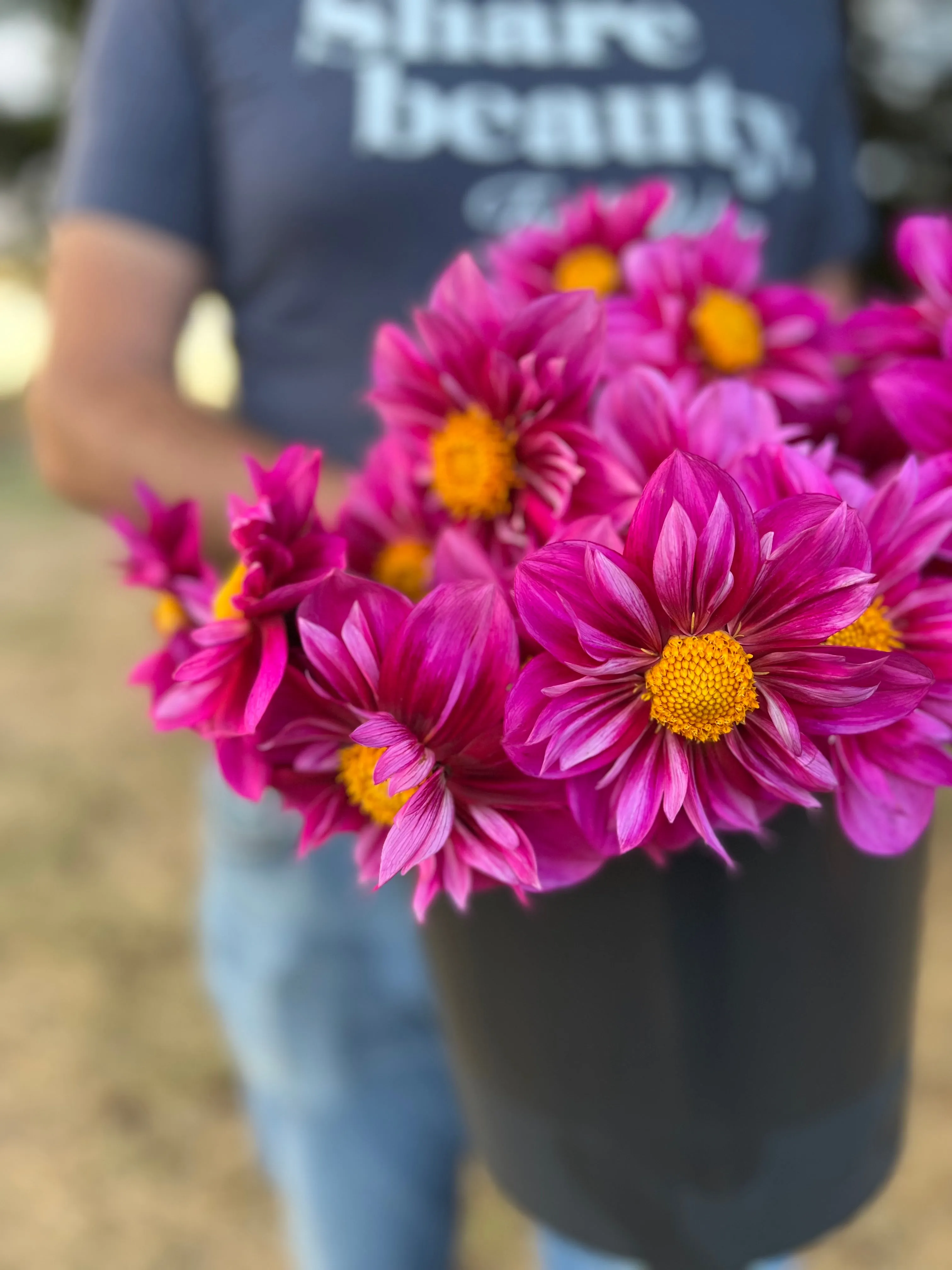 Bloomquist Whimsical Dahlia Tuber