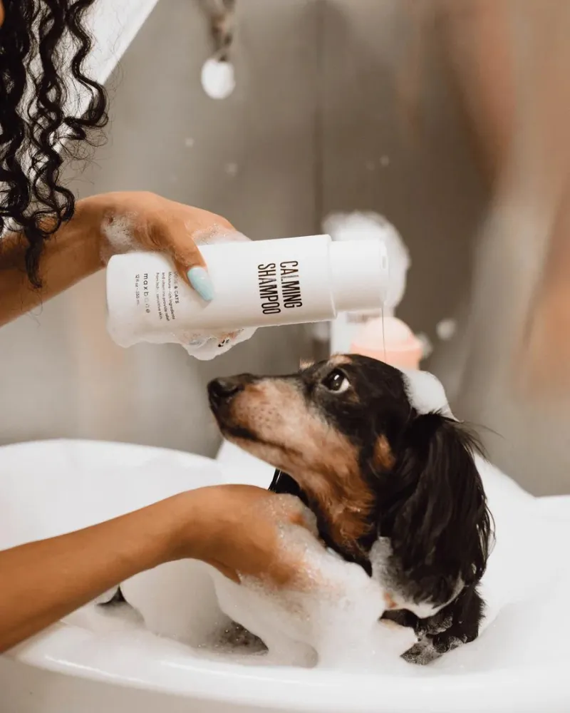 Calming Shampoo for Dogs & Cats