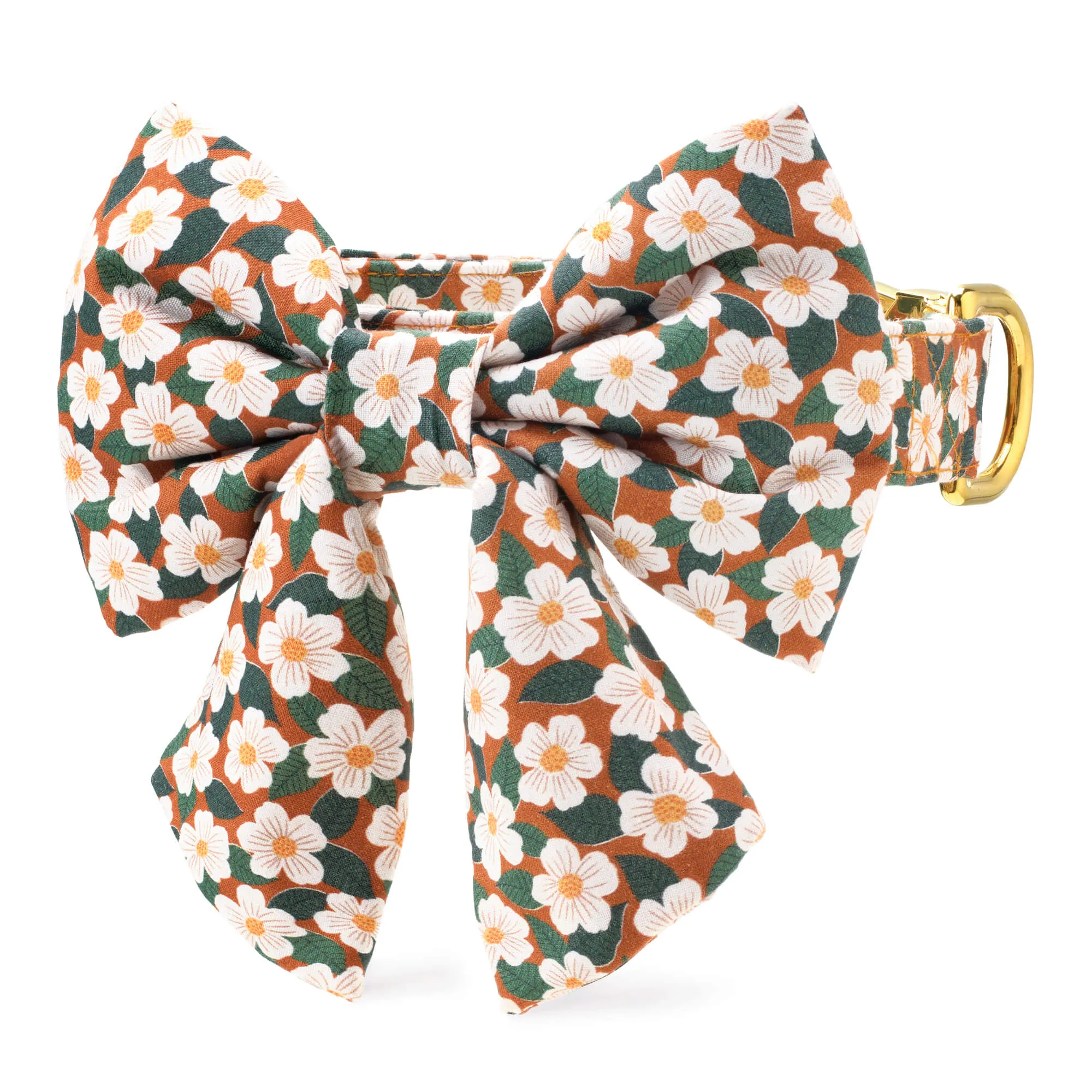 Chestnut Rose Lady Bow Collar