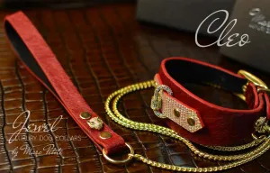 Cleo Collar   Leash