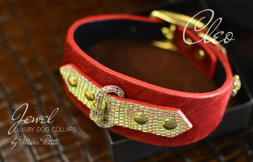 Cleo Collar   Leash