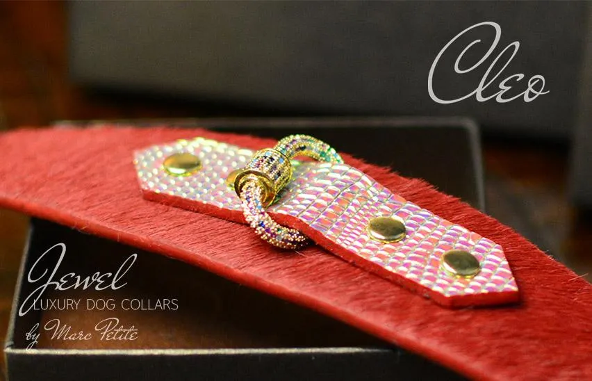 Cleo Collar   Leash