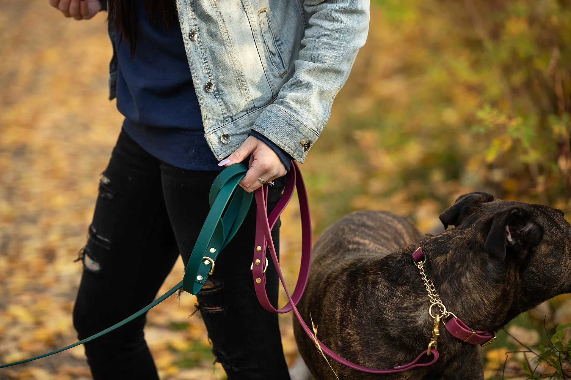 Design Your Own - The Rohirrim BT Collar, Adjustable Biothane Martingale Dog Collar