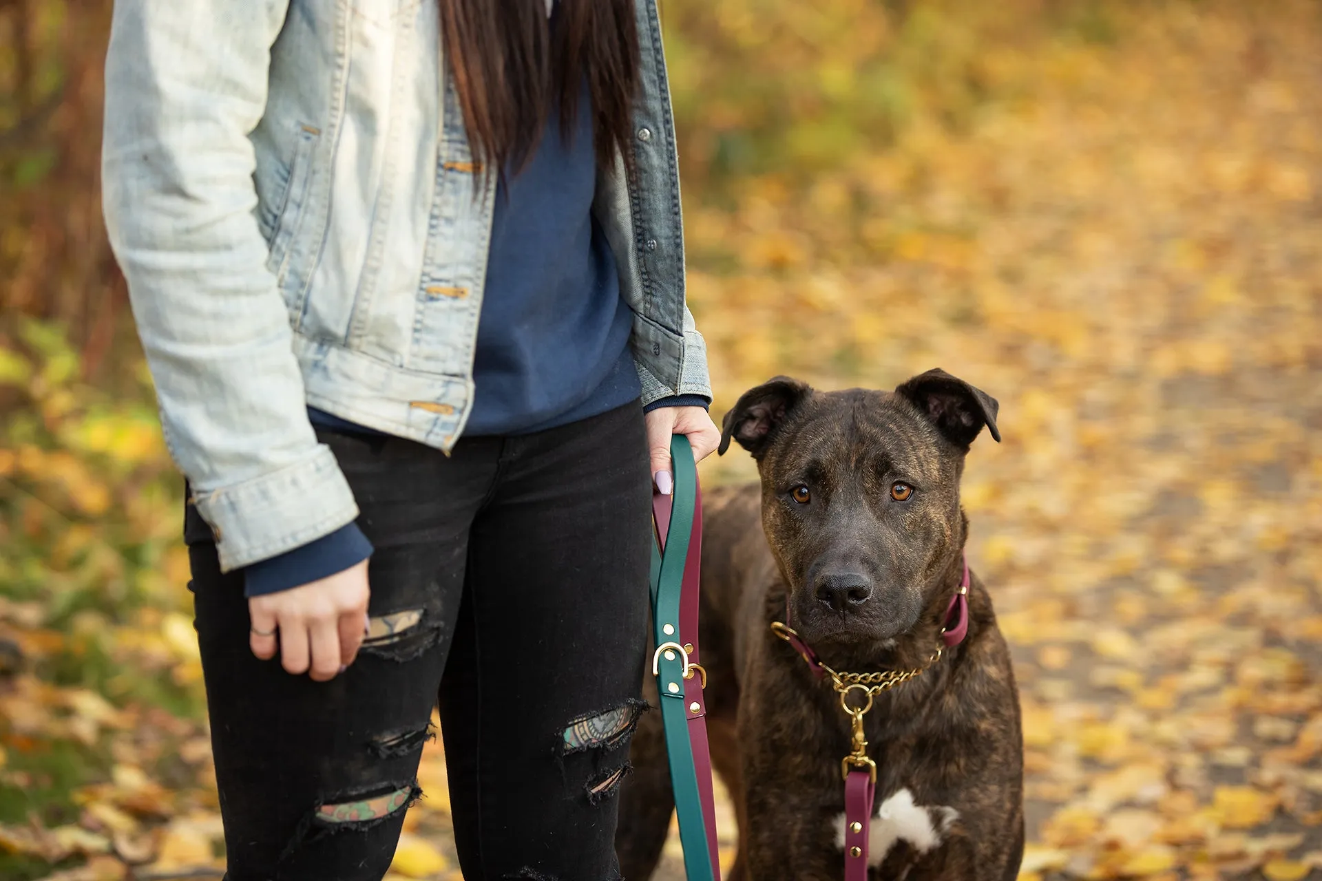 Design Your Own - The Rohirrim BT Collar, Adjustable Biothane Martingale Dog Collar