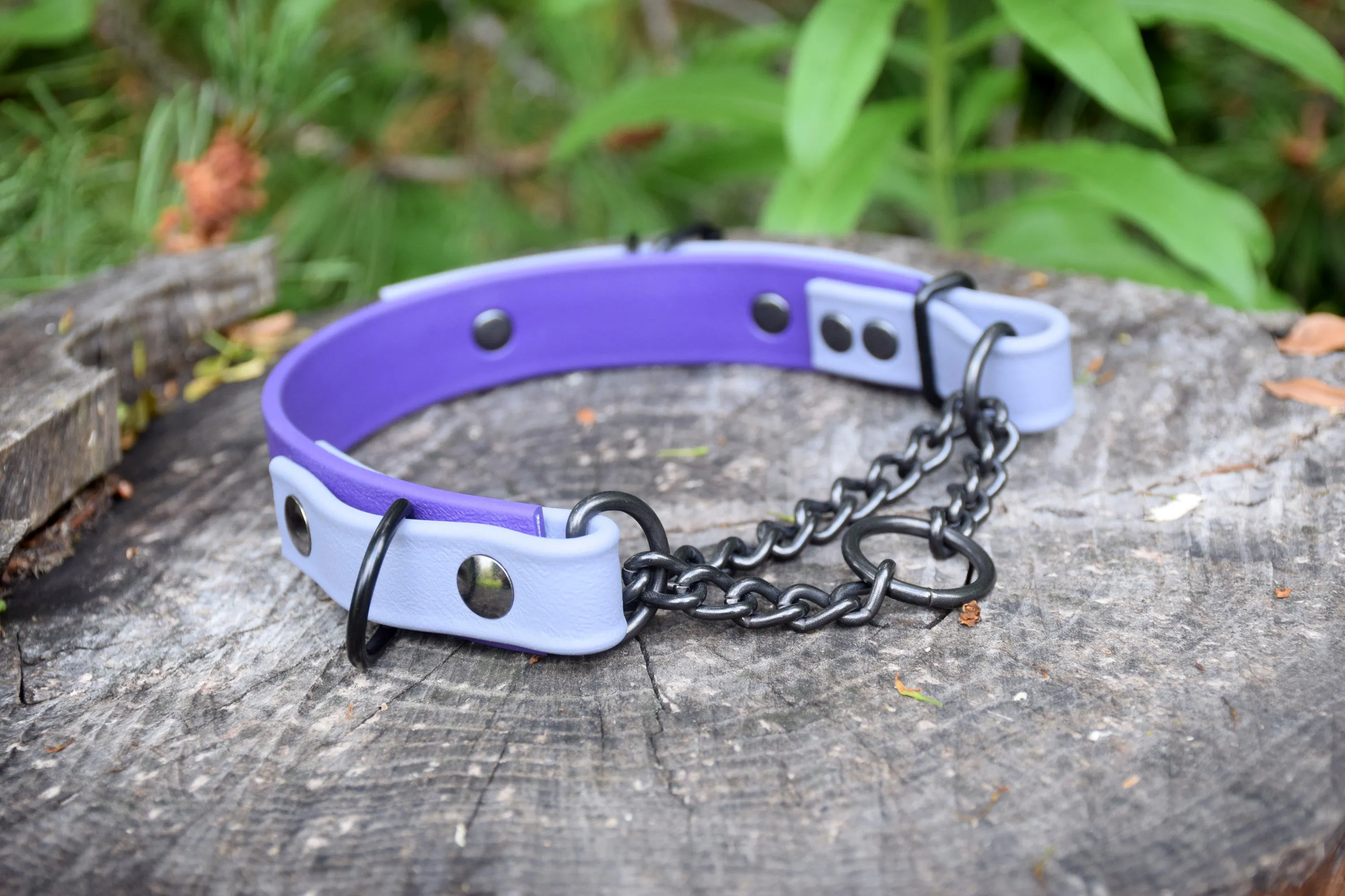 Design Your Own - The Rohirrim BT Collar, Adjustable Biothane Martingale Dog Collar