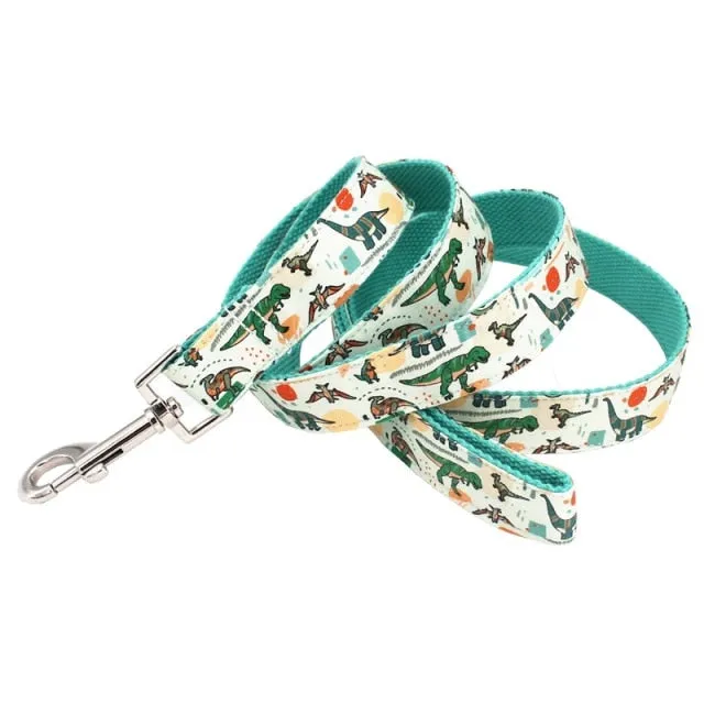 Dinosaur Dog Collar And Leash Set |Personalized