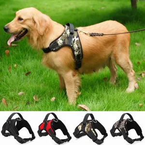 Dog Collar Pet Supplies Medium and Large Dog Dog Collar