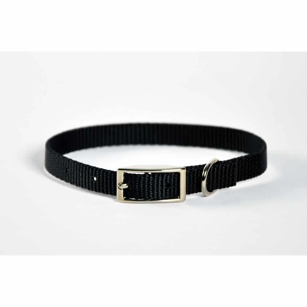 Dog Collar Skinny - 12" Red