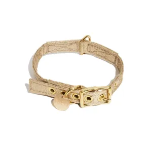 Exclusive! Vintage Gold Cat & Dog Collar | Found My Animal