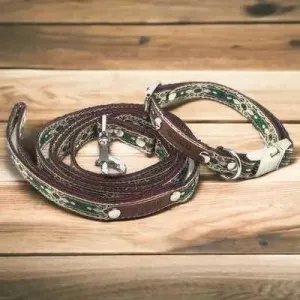 Finnigan’s Whimsical Designer Dog Collar Set