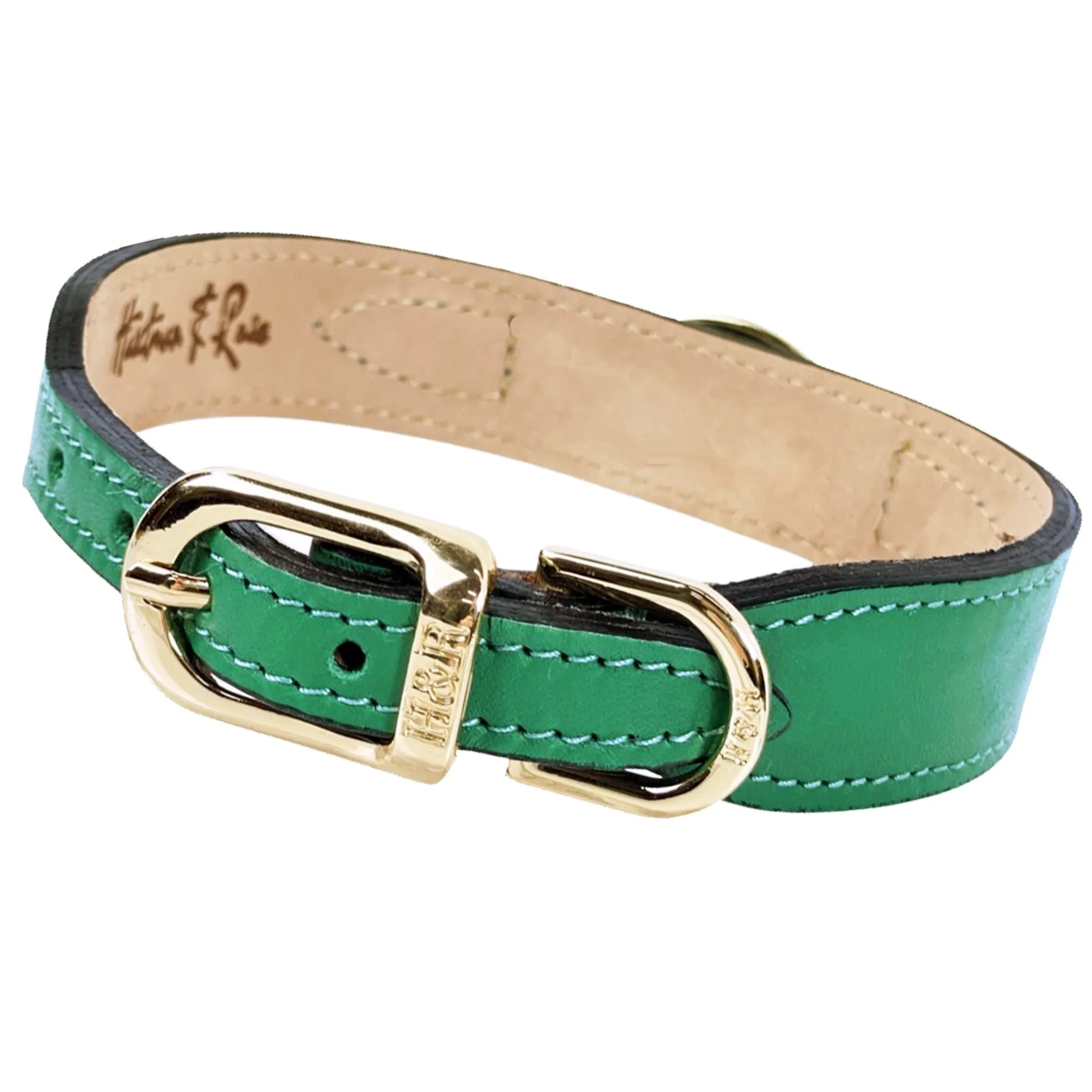 Galaxy Dog Collar in Emerald & Gold