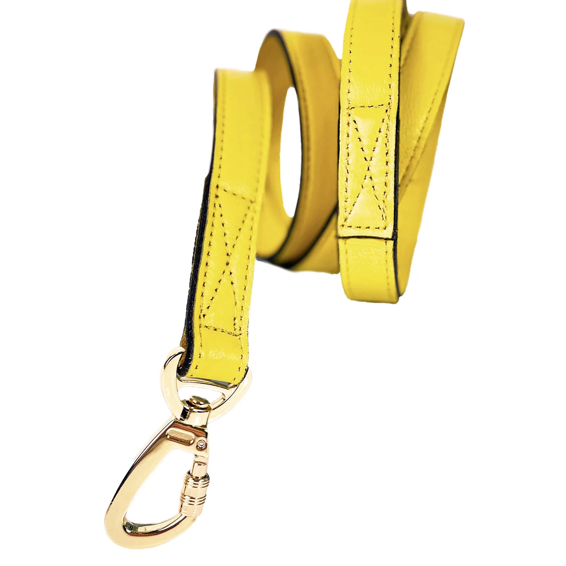 Galaxy Dog Collar Leash in Canary Yellow & Gold