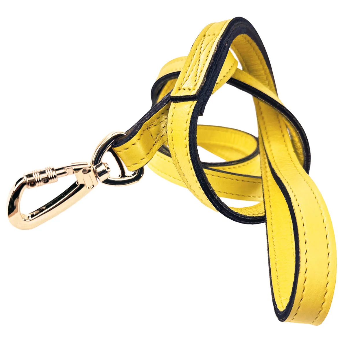 Galaxy Dog Collar Leash in Canary Yellow & Gold