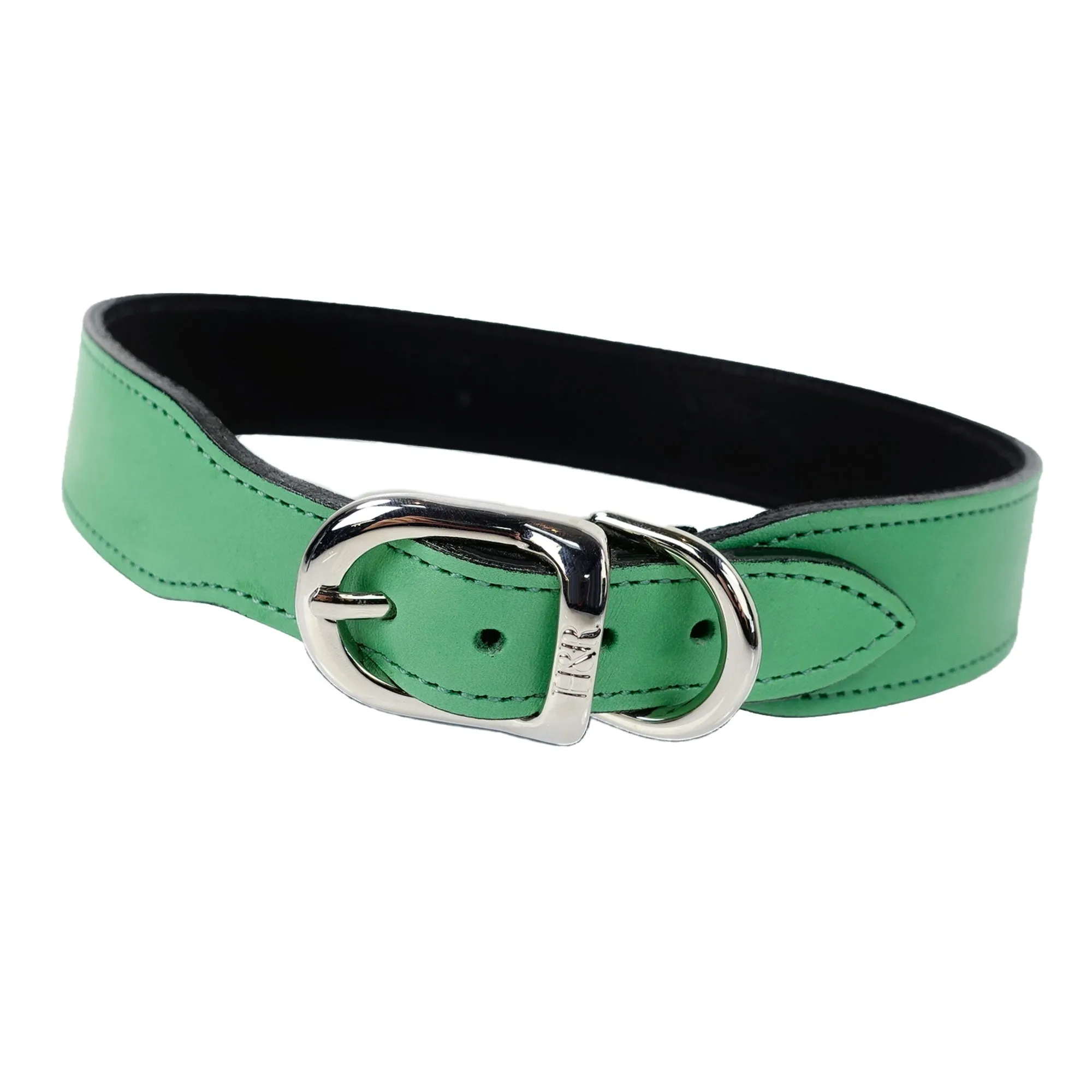 Hamilton Dog Collar in Emerald & Nickel