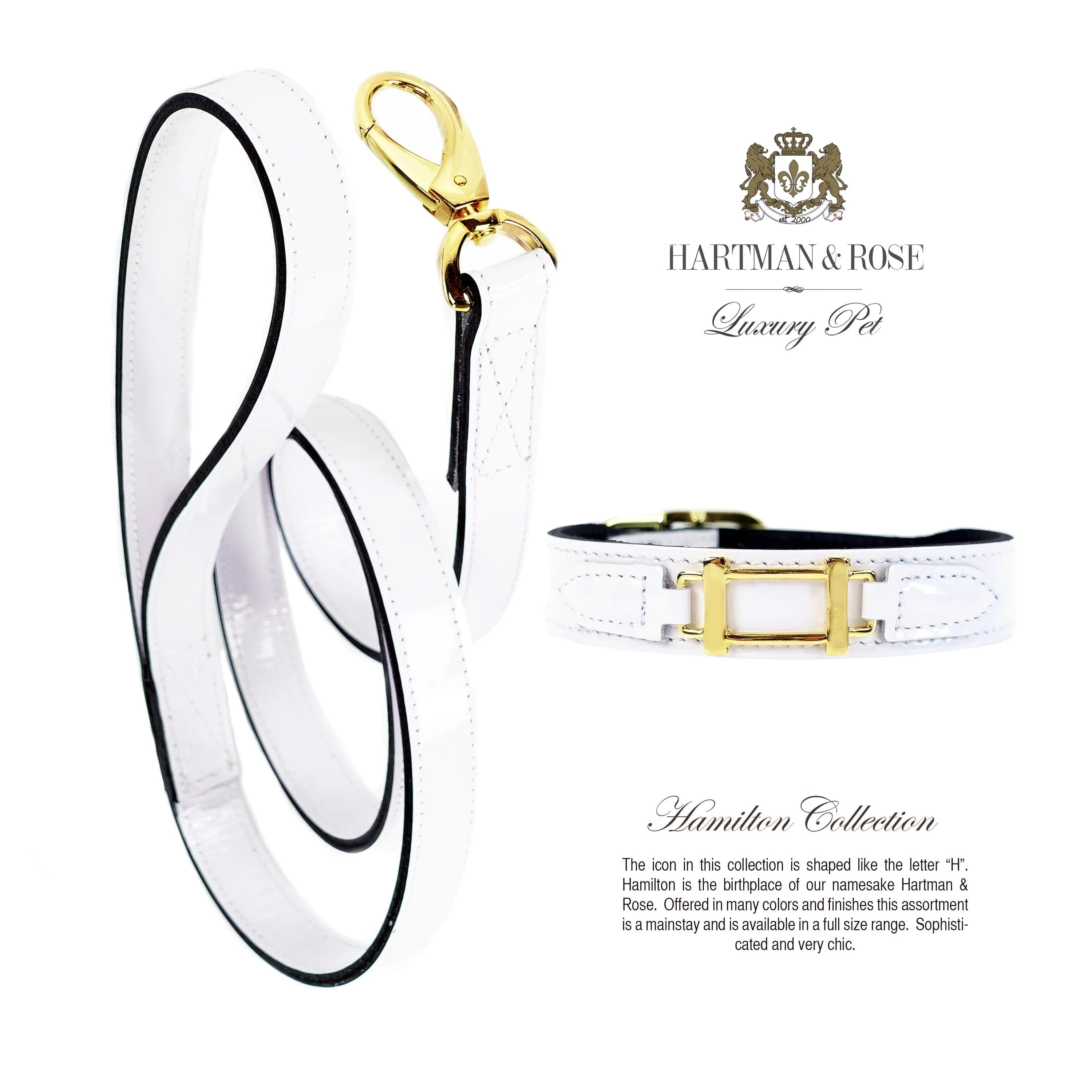 Hamilton Dog Collar in White & Gold