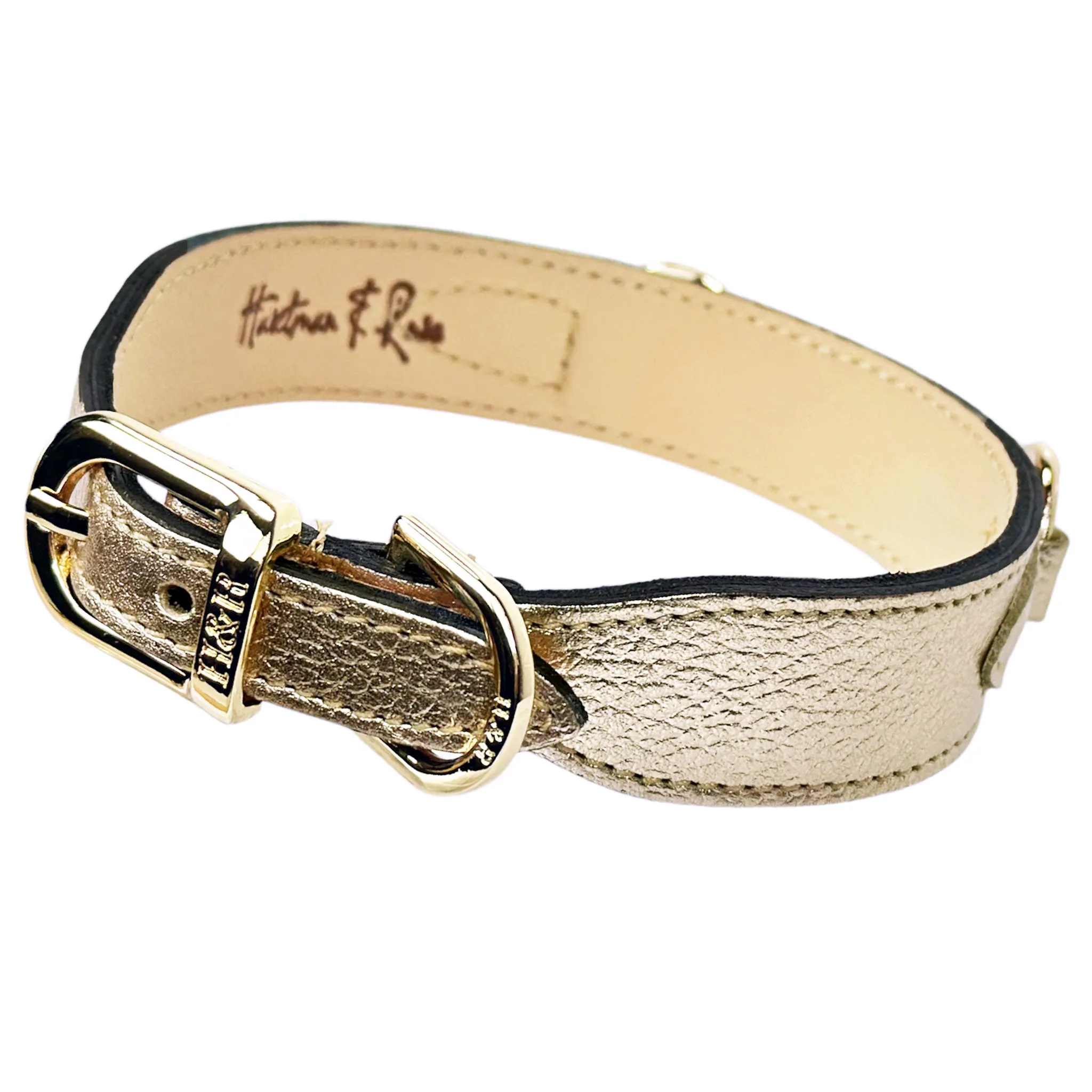 Horse & Hound Dog Collar in Metallic Gold