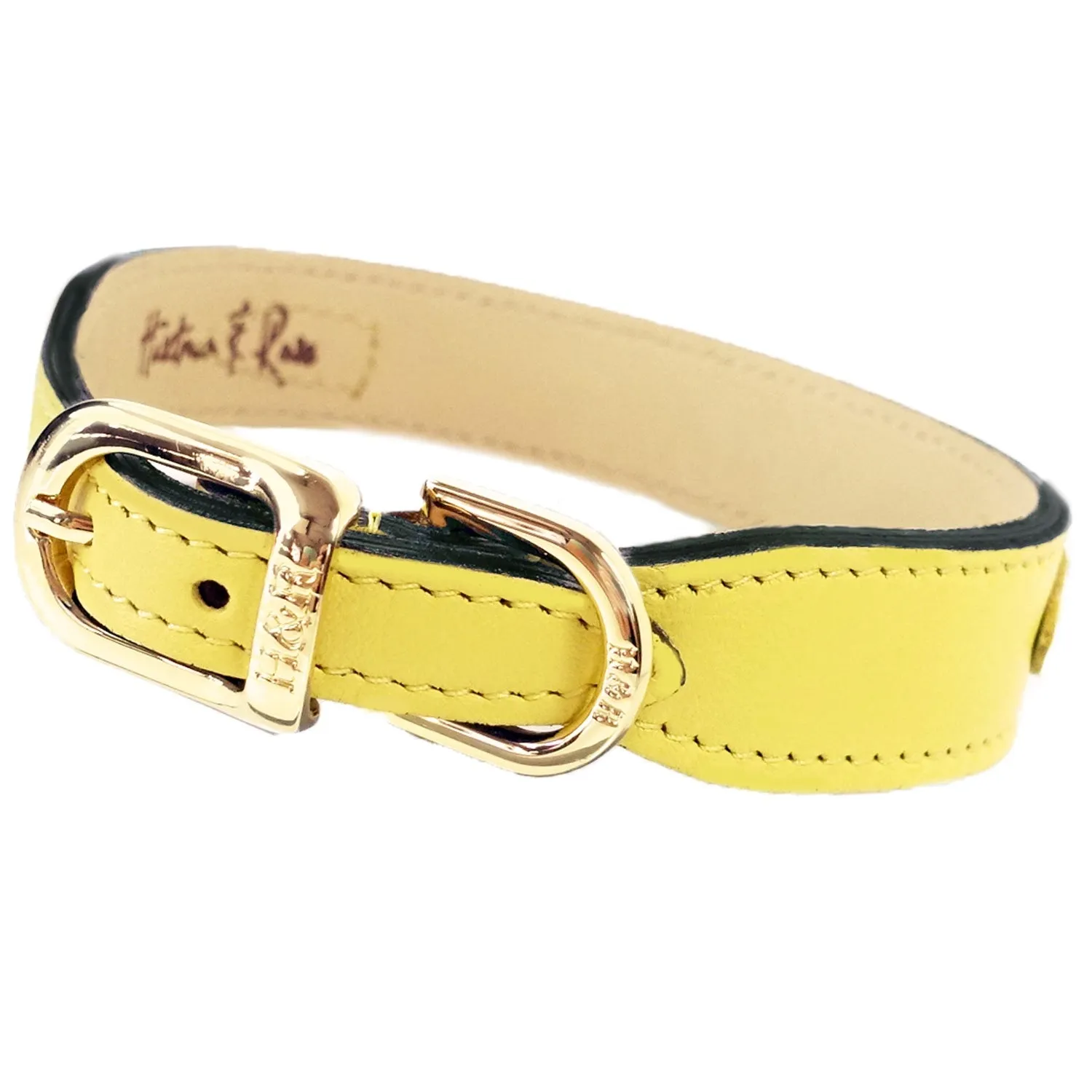 Hugs & Kisses Dog Collar in Canary Yellow & Gold