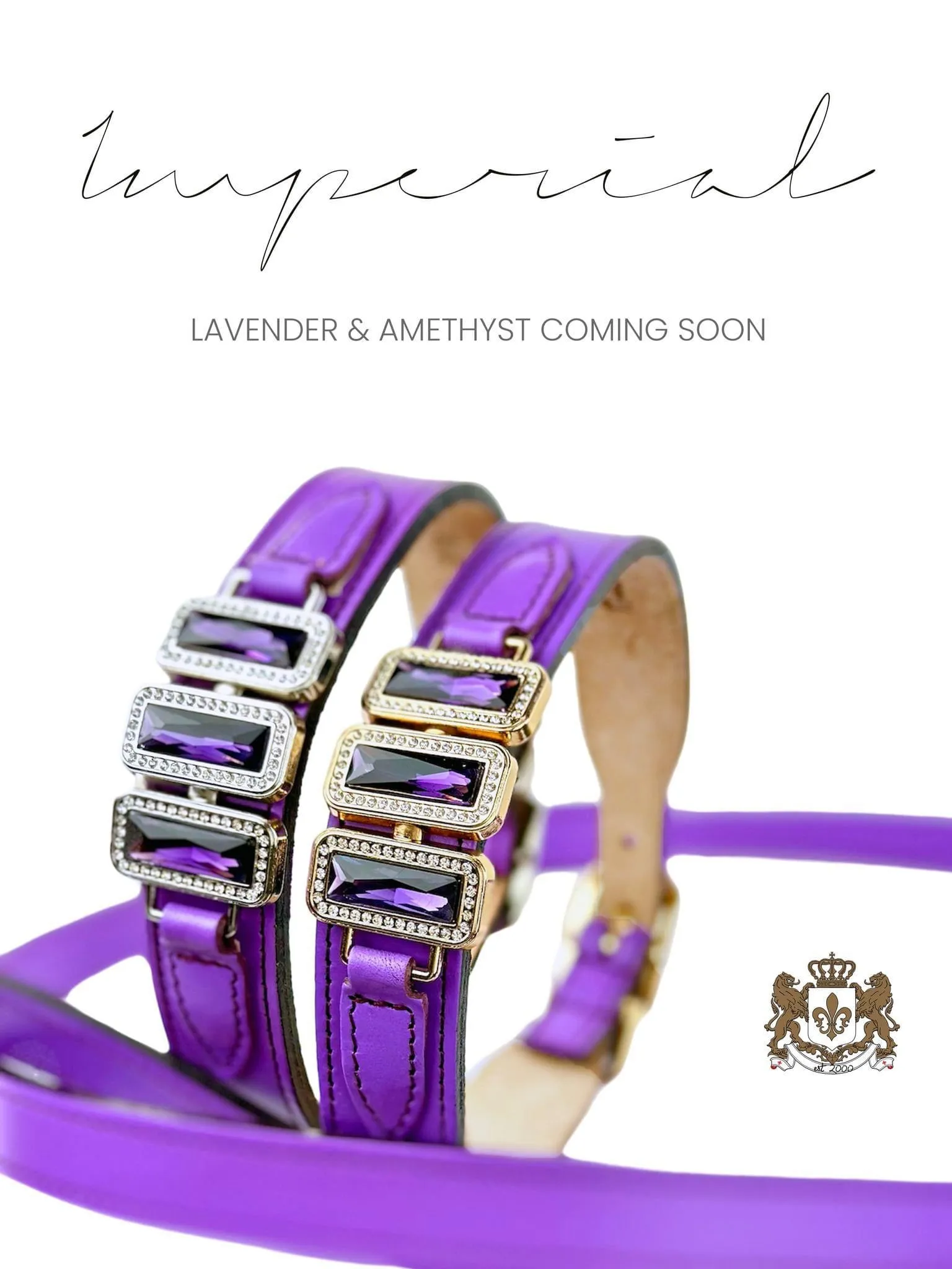 Imperial Dog Collar in Lavender, Amethyst & Nickel