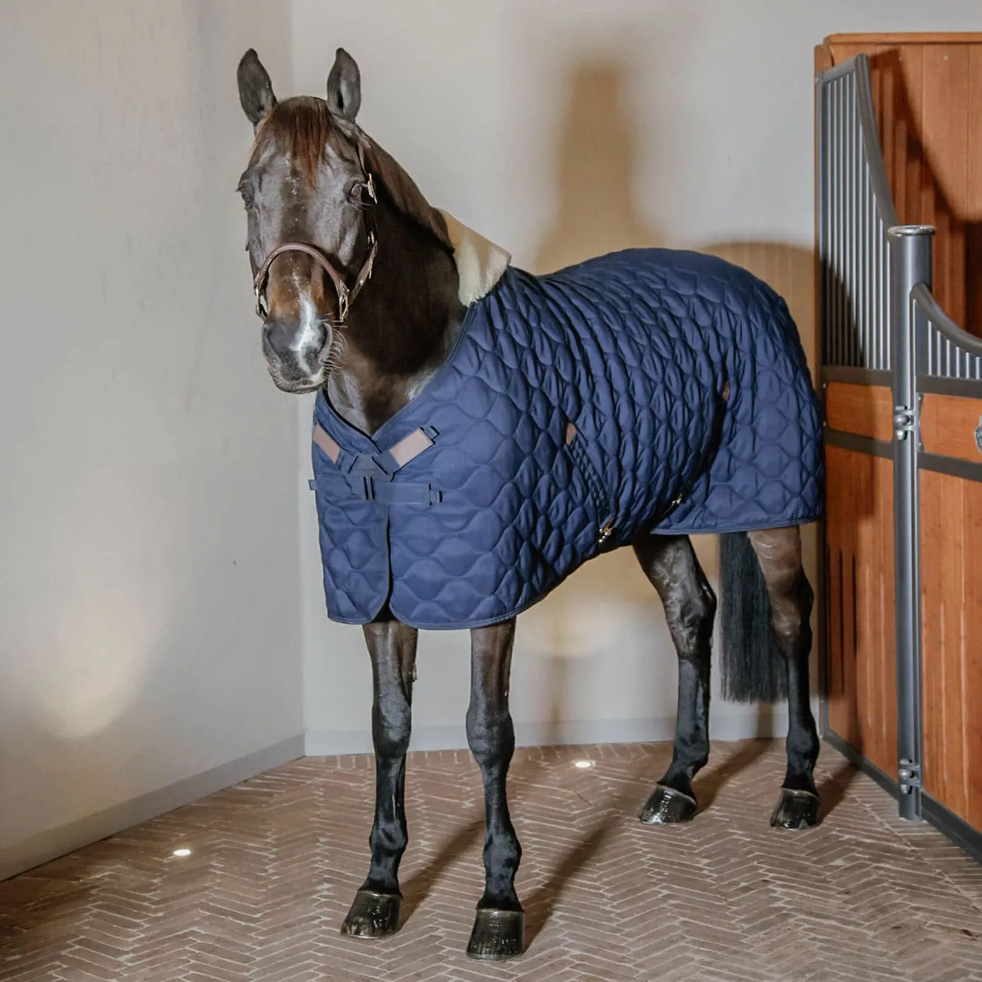 Kentucky Horsewear Comfort Stable Rug 100g - Navy