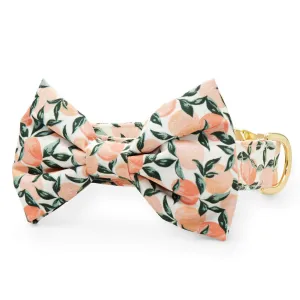 Peaches and Cream Bow Tie Collar