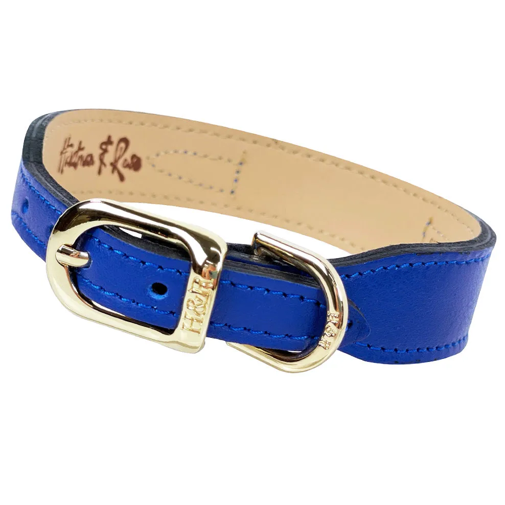 Peacock Dog Collar in Cobalt Blue