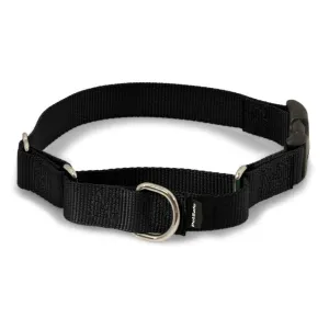 Pet Safe Martingale collar