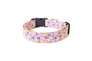 Purple Orange & Yellow Floral Dog Collar