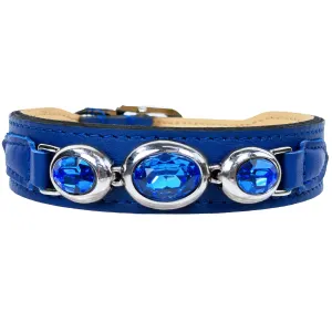 Regency Dog Collar in Cobalt Blue & Nickel