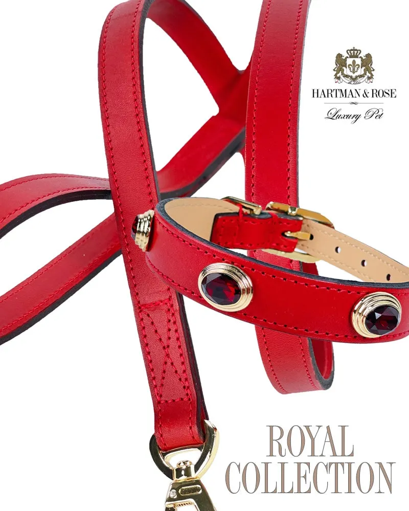 Royal Dog Collar in Ferrari Red & Gold