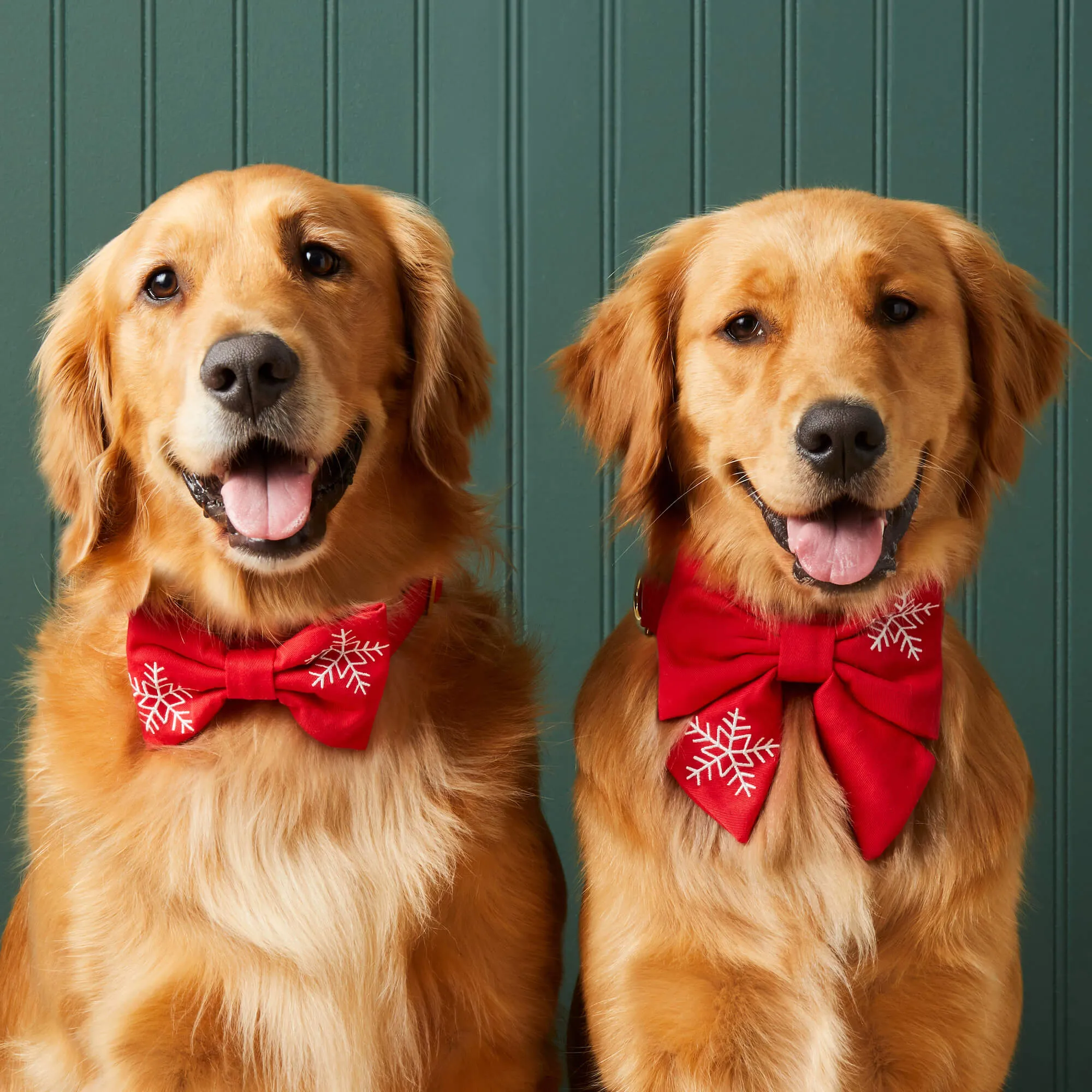 Snowflakes Embroidered Bow Tie Collar