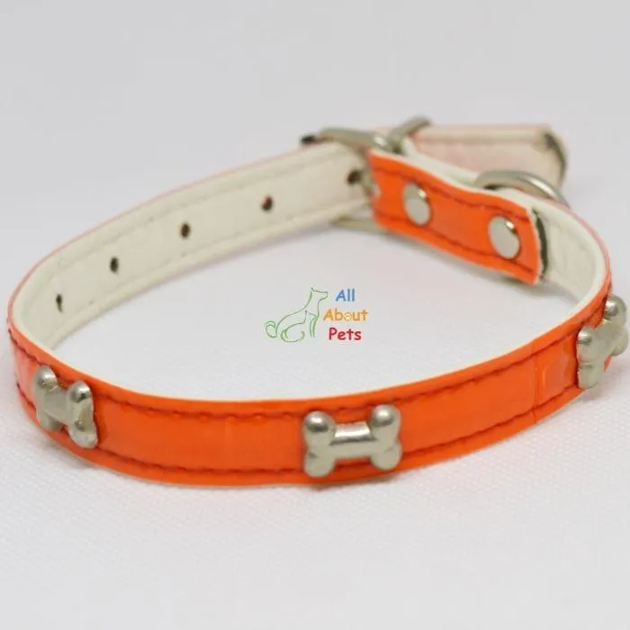 Studded Reflective Collars for Small Dogs