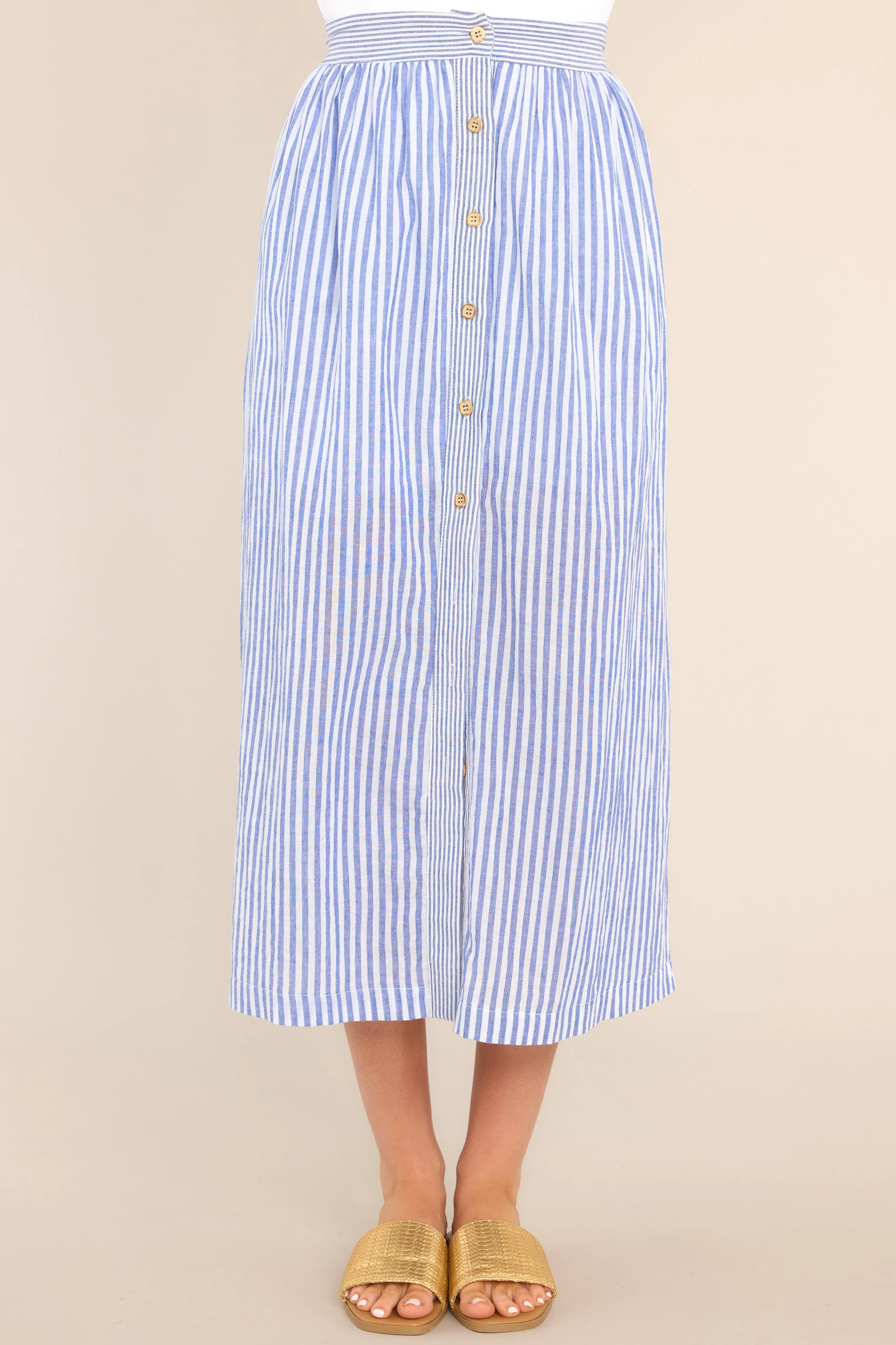 Treasured Blue Striped Button Front Maxi Skirt