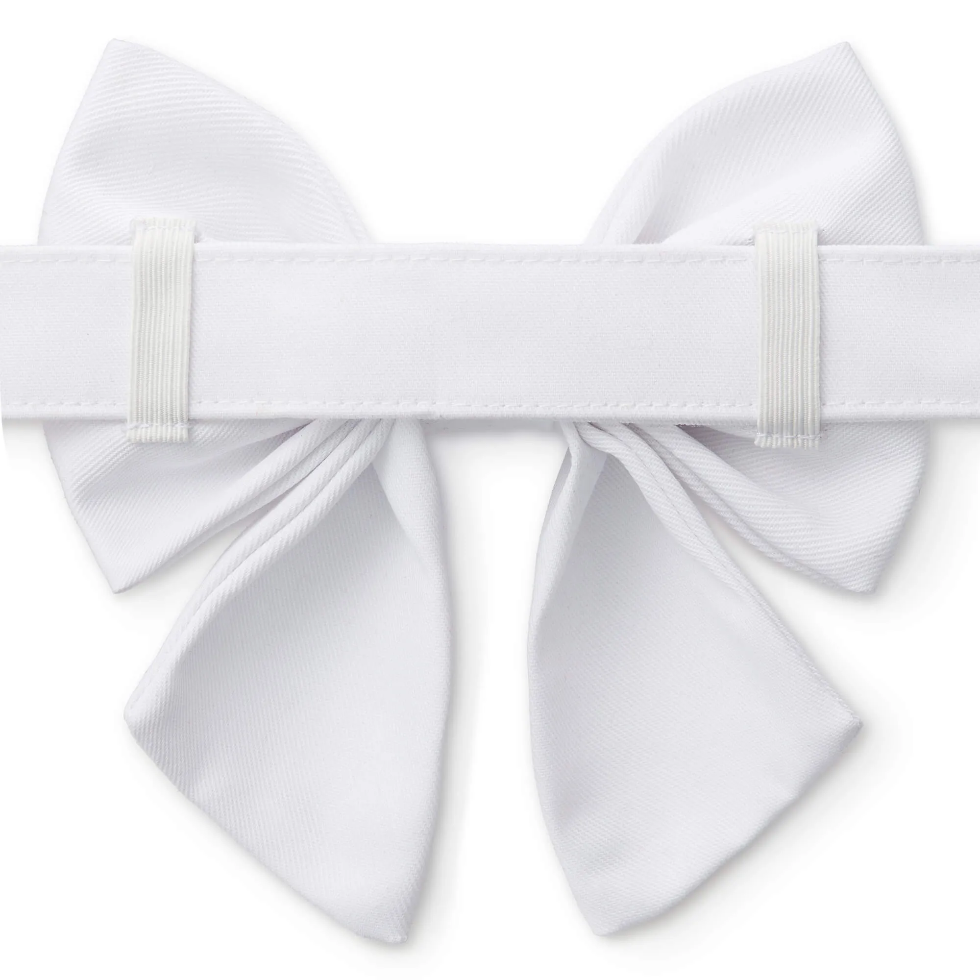 White Lady Bow Collar